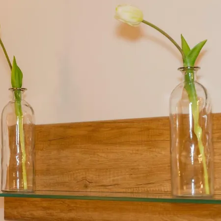 Joanneum Štýrský Hradec